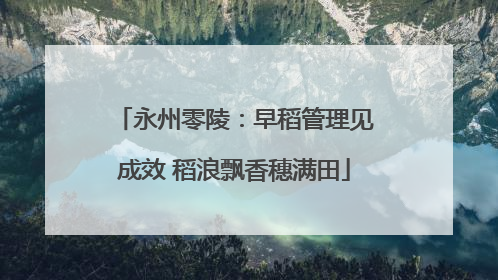 永州零陵：早稻管理见成效 稻浪飘香穗满田