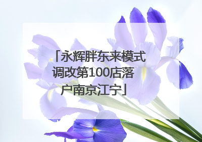 永辉胖东来模式调改第100店落户南京江宁