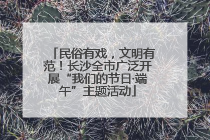 民俗有戏，文明有范！长沙全市广泛开展“我们的节日·端午”主题活动