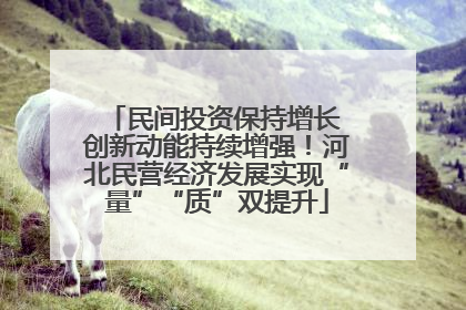 民间投资保持增长 创新动能持续增强！河北民营经济发展实现“量”“质”双提升