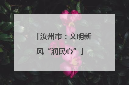 汝州市：文明新风“润民心”