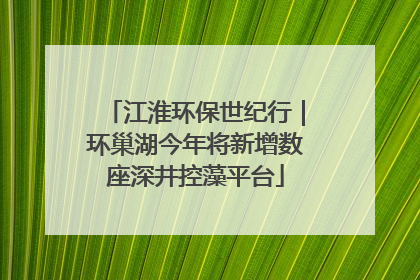 江淮环保世纪行｜环巢湖今年将新增数座深井控藻平台