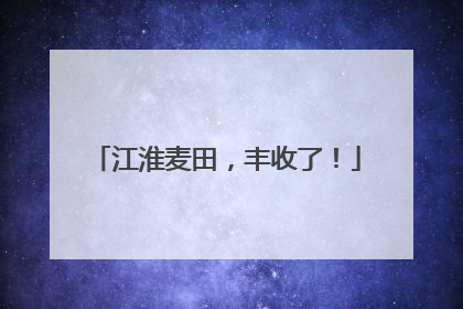 江淮麦田，丰收了！