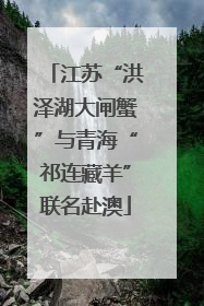 江苏“洪泽湖大闸蟹”与青海“祁连藏羊”联名赴澳