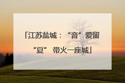 江苏盐城：“音”爱留“夏” 带火一座城