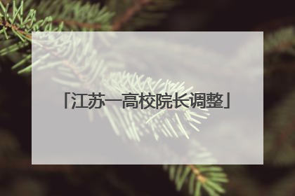 江苏一高校院长调整