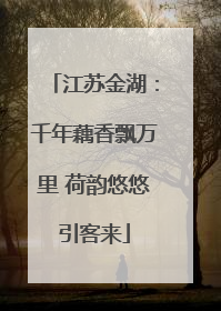 江苏金湖：千年藕香飘万里 荷韵悠悠引客来