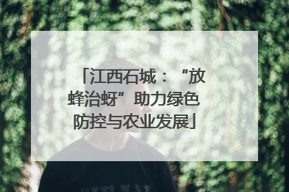 江西石城：“放蜂治蚜”助力绿色防控与农业发展