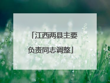 江西两县主要负责同志调整