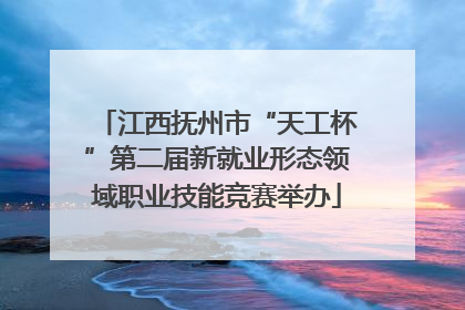 江西抚州市“天工杯”第二届新就业形态领域职业技能竞赛举办