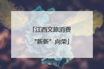 江西文旅消费“新新”向荣