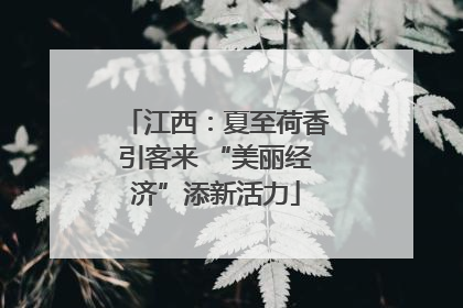 江西：夏至荷香引客来 “美丽经济”添新活力