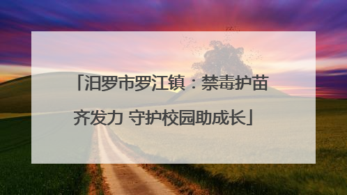 汨罗市罗江镇：禁毒护苗齐发力 守护校园助成长