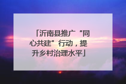 沂南县推广“同心共建”行动，提升乡村治理水平
