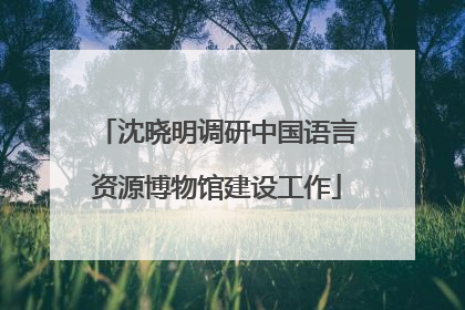 沈晓明调研中国语言资源博物馆建设工作