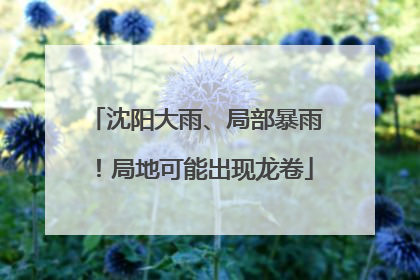 沈阳大雨、局部暴雨！局地可能出现龙卷