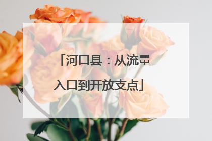河口县：从流量入口到开放支点