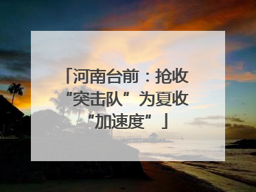 河南台前：抢收“突击队”为夏收“加速度”
