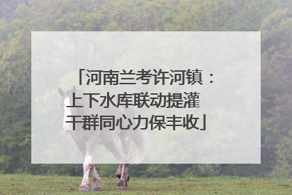 河南兰考许河镇：上下水库联动提灌 干群同心力保丰收