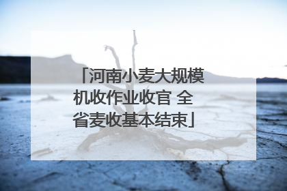 河南小麦大规模机收作业收官 全省麦收基本结束