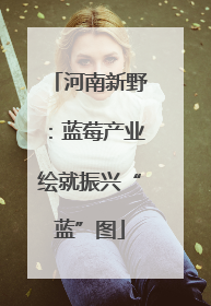 河南新野：蓝莓产业绘就振兴“蓝”图
