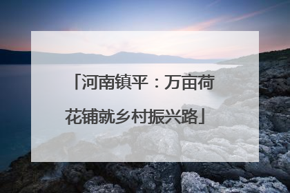 河南镇平：万亩荷花铺就乡村振兴路