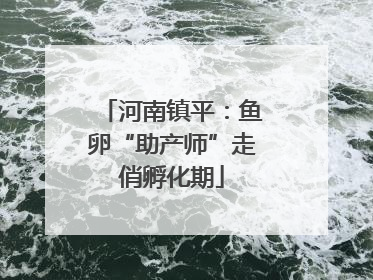 河南镇平：鱼卵“助产师”走俏孵化期