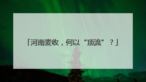 河南麦收，何以“顶流”？