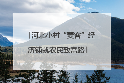河北小村“麦客”经济铺就农民致富路