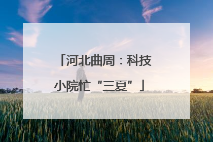 河北曲周：科技小院忙“三夏”