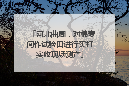 河北曲周：对棉麦间作试验田进行实打实收现场测产