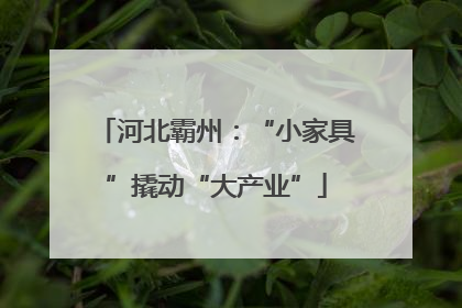 河北霸州：“小家具”撬动“大产业”