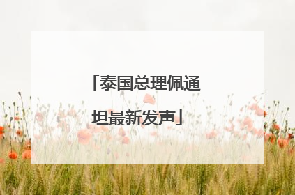 泰国总理佩通坦最新发声
