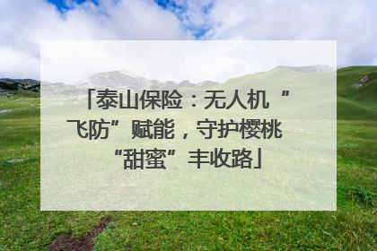泰山保险：无人机“飞防”赋能，守护樱桃“甜蜜”丰收路