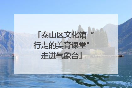泰山区文化馆“行走的美育课堂”走进气象台