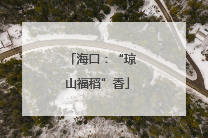 海口：“琼山福稻”香