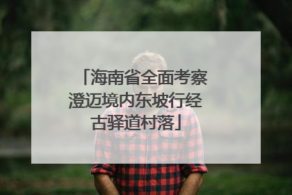 海南省全面考察澄迈境内东坡行经古驿道村落