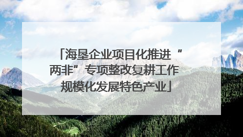 海垦企业项目化推进“两非”专项整改复耕工作 规模化发展特色产业