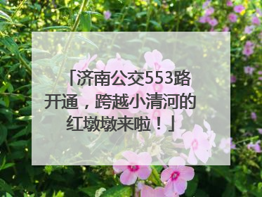 济南公交553路开通，跨越小清河的红墩墩来啦！