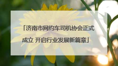 济南市网约车司机协会正式成立 开启行业发展新篇章