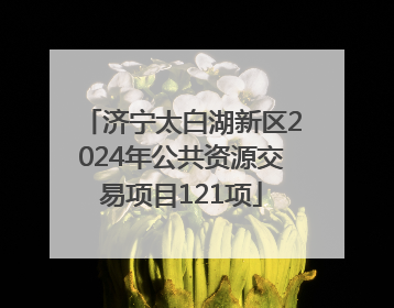 济宁太白湖新区2024年公共资源交易项目121项