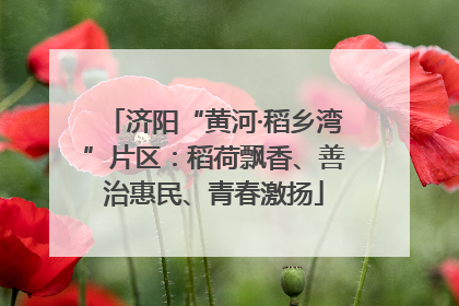 济阳“黄河·稻乡湾”片区：稻荷飘香、善治惠民、青春激扬