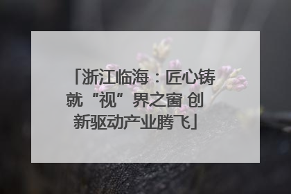浙江临海：匠心铸就“视”界之窗 创新驱动产业腾飞