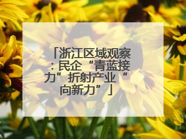 浙江区域观察：民企“青蓝接力”折射产业“向新力”