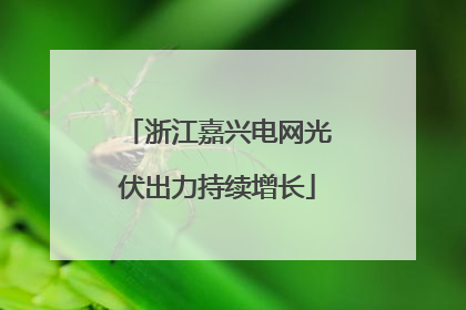 浙江嘉兴电网光伏出力持续增长