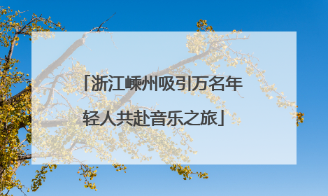 浙江嵊州吸引万名年轻人共赴音乐之旅