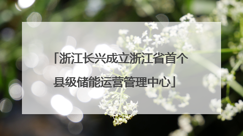 浙江长兴成立浙江省首个县级储能运营管理中心