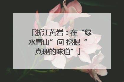 浙江黄岩：在“绿水青山”间 挖掘“真理的味道”