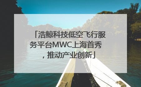 浩鲸科技低空飞行服务平台MWC上海首秀，推动产业创新