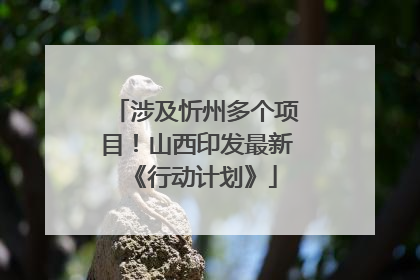 涉及忻州多个项目！山西印发最新《行动计划》